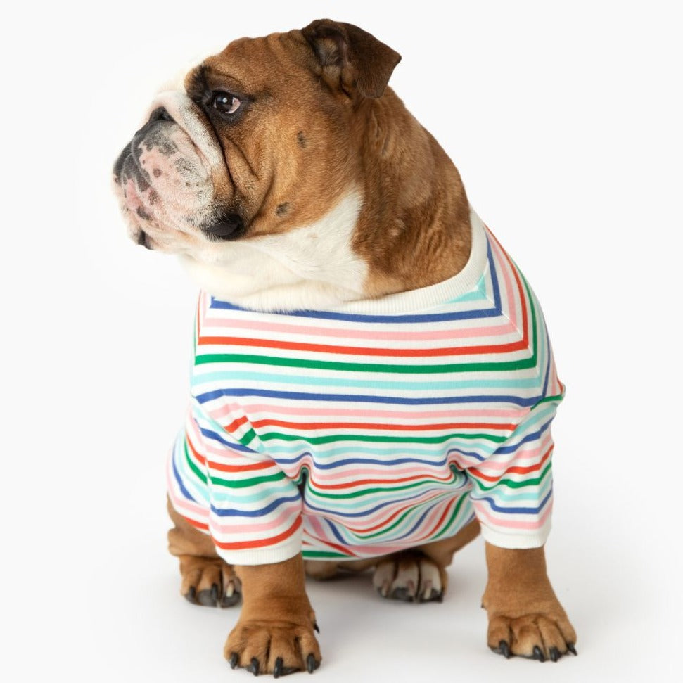 Happy Days Pullover For Dogs - Sir Dogwood