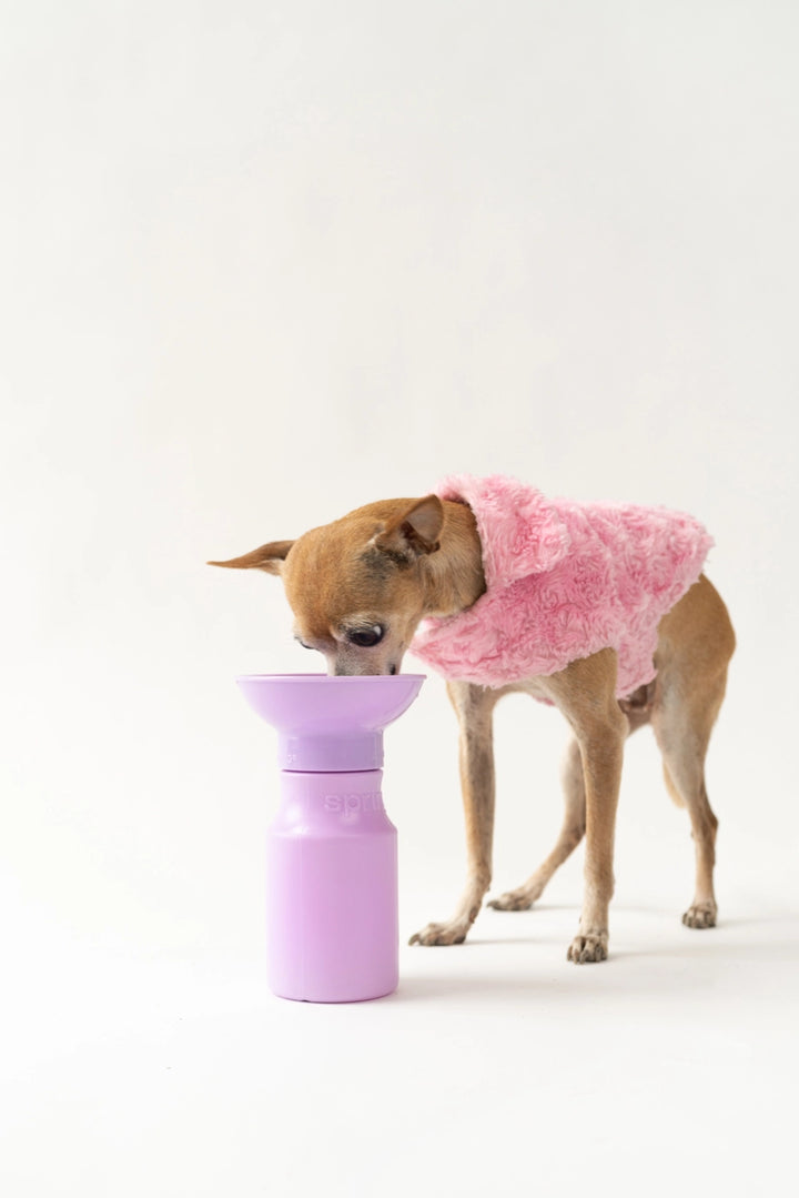 Lilac Travel Water Bottle