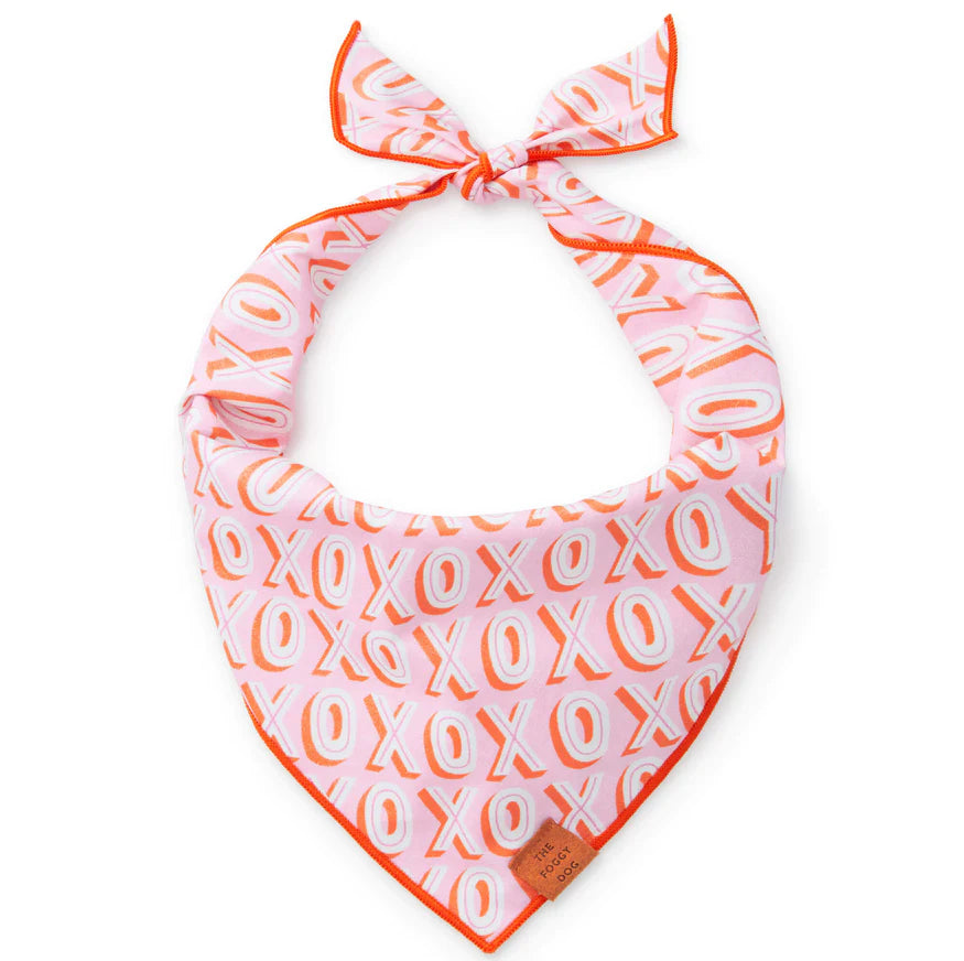 Hugs and Kisses Valentine's Day Dog Bandana - Sir Dogwood