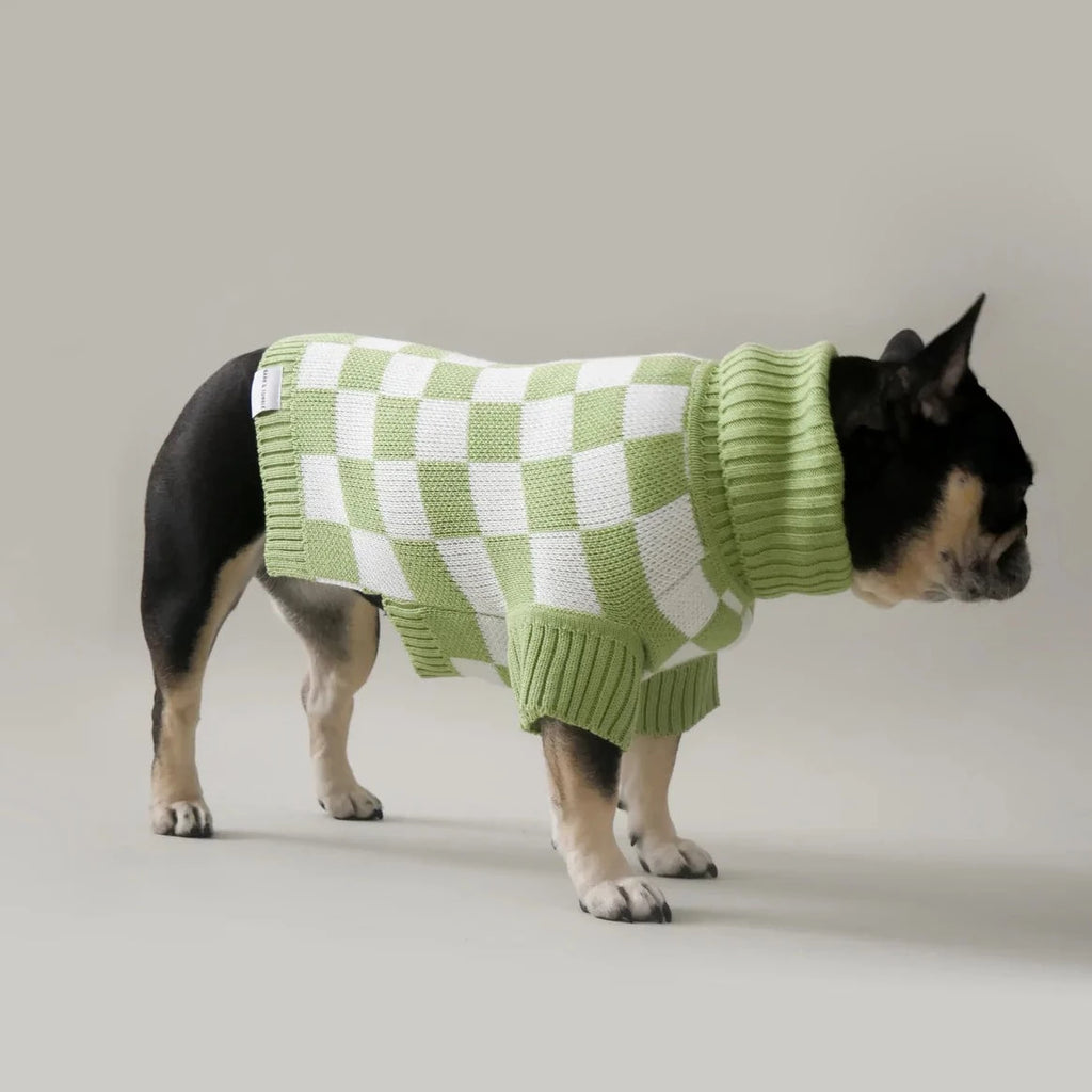 Green Checkerboard Turtleneck - Sir Dogwood