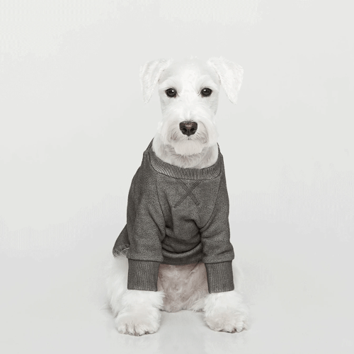 Vintage Sweatshirt Charcoal - Sir Dogwood