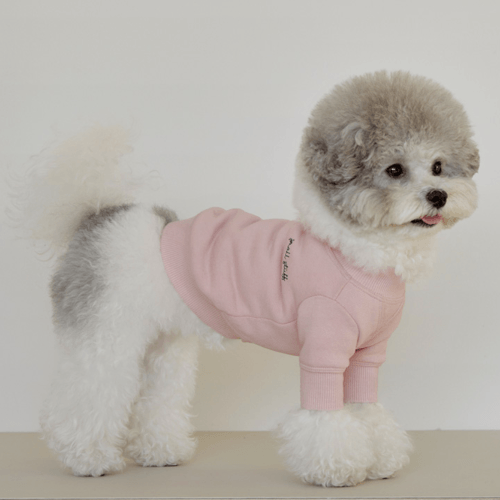 Crewneck Sweatshirt Pink - Sir Dogwood