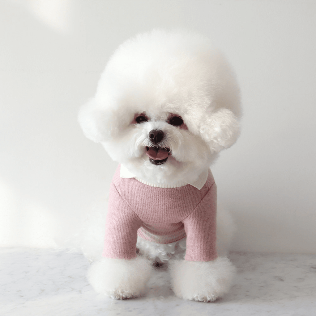 Blanc Knit Collar Top Pink - Sir Dogwood