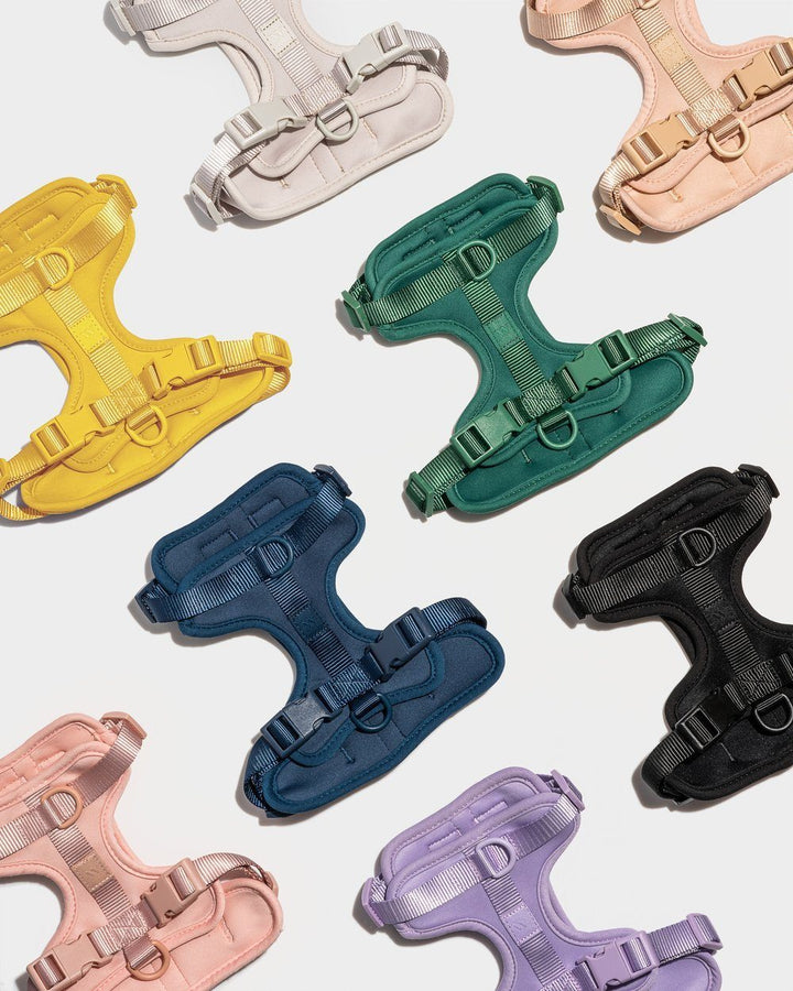 Cushioned Dog Harness Butter - Sir Dogwood