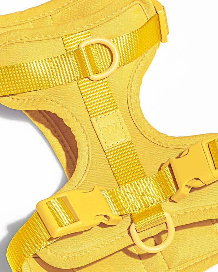 Cushioned Dog Harness Butter - Sir Dogwood