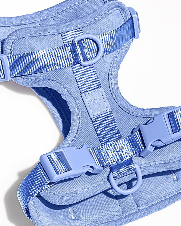 Cushioned Dog Harness Moonstone - Sir Dogwood