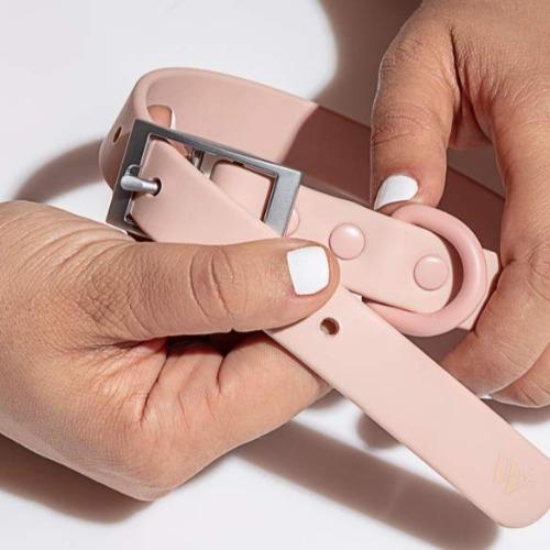 Modern Dog Collar Blush - Sir Dogwood