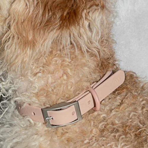 Modern Dog Collar Blush - Sir Dogwood
