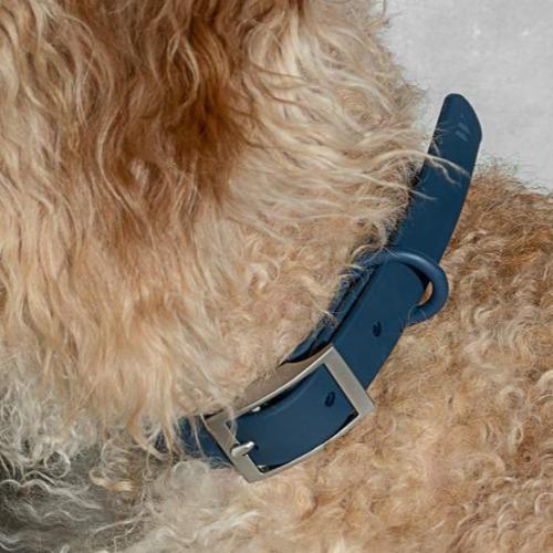Modern Dog Collar Navy - Sir Dogwood