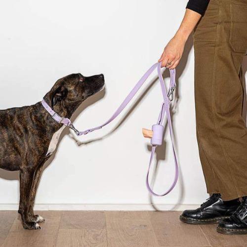 Durable Dog Leash Lilac - Sir Dogwood
