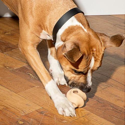 Twist Toss Tan - Sir Dogwood