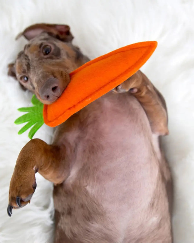 Puppy Carrot Toy - Sir Dogwood