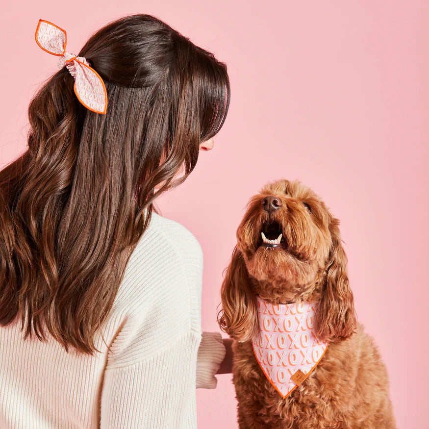 Hugs and Kisses Valentine's Day Dog Bandana - Sir Dogwood