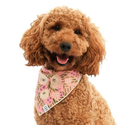 Harper Floral Dog Bandana - Sir Dogwood