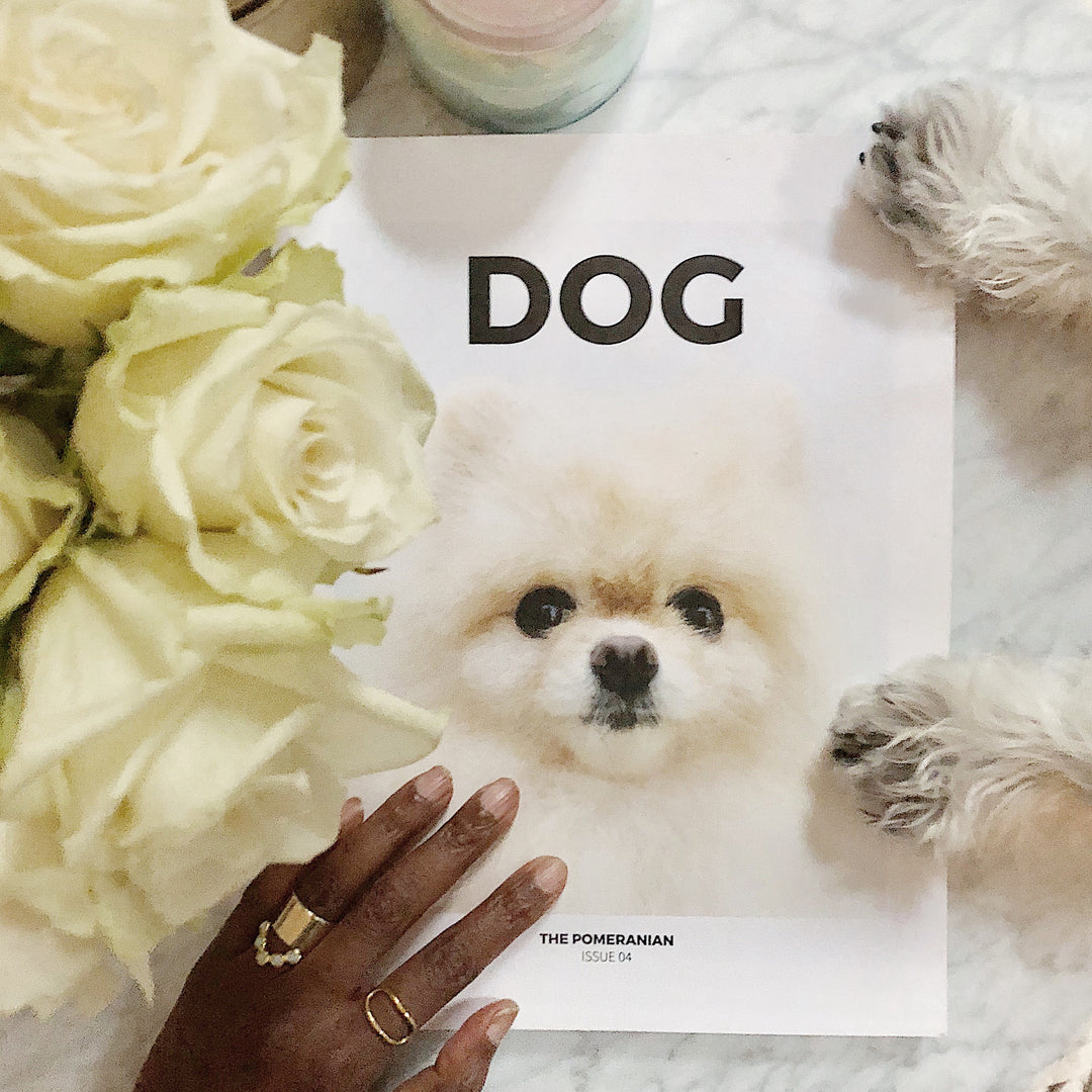 Book Club: DOG Magazine