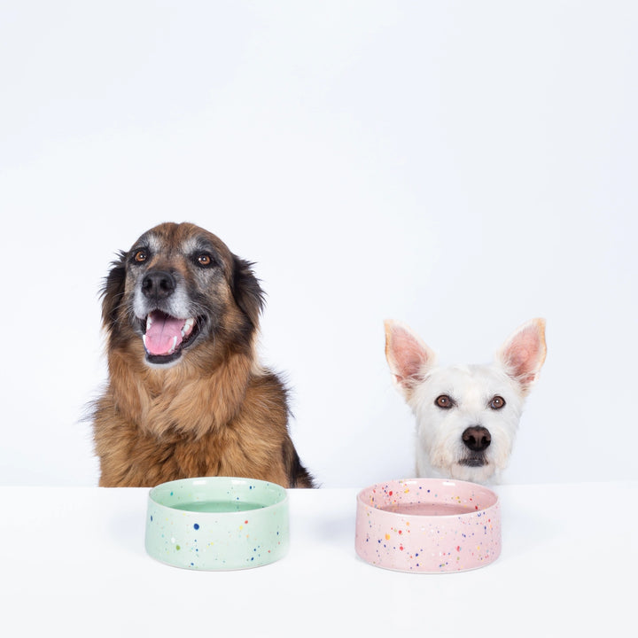 Party Pet Bowl Pink Set of 2