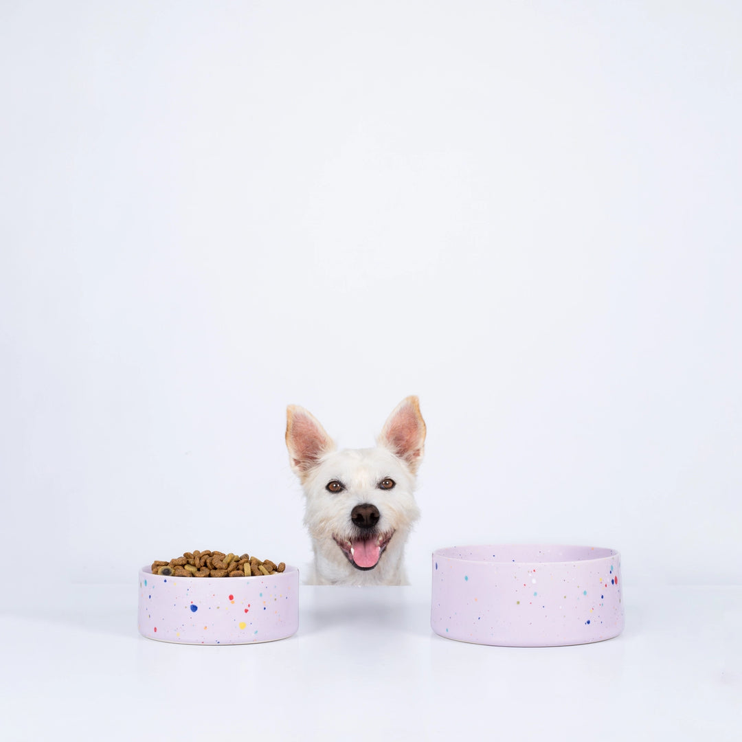 Party Pet Bowl Lilac Set of 2