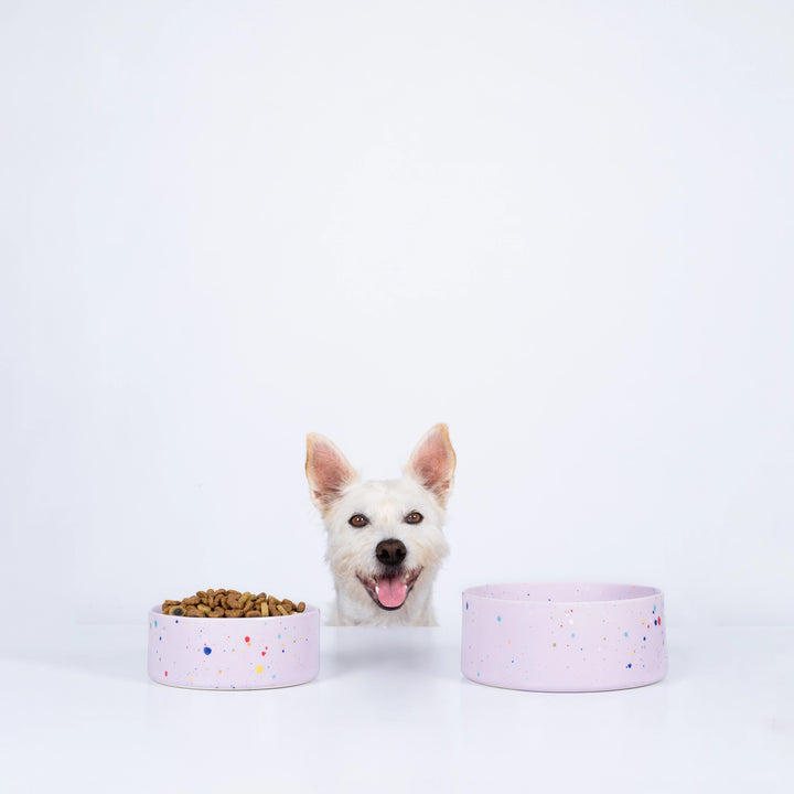 Party Pet Bowl Lilac Set of 2