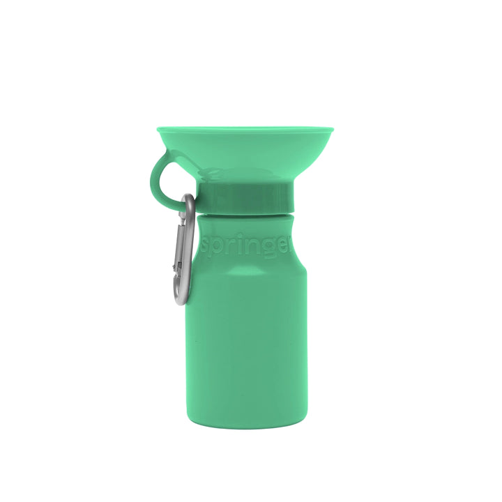 Green Travel Water Bottle