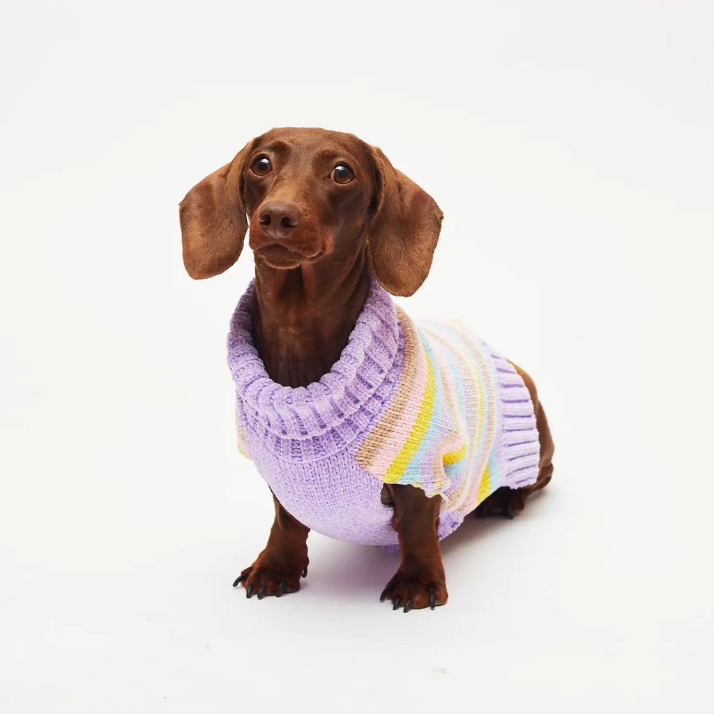 Candy Stripe Dog Sweater - Sir Dogwood