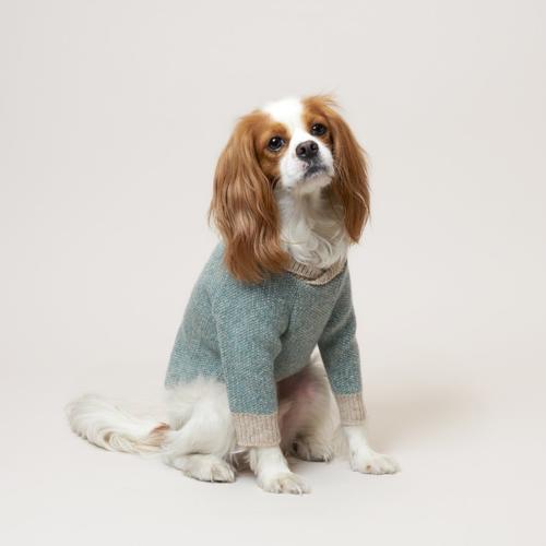 Shawl Blue Green Sweater - Sir Dogwood