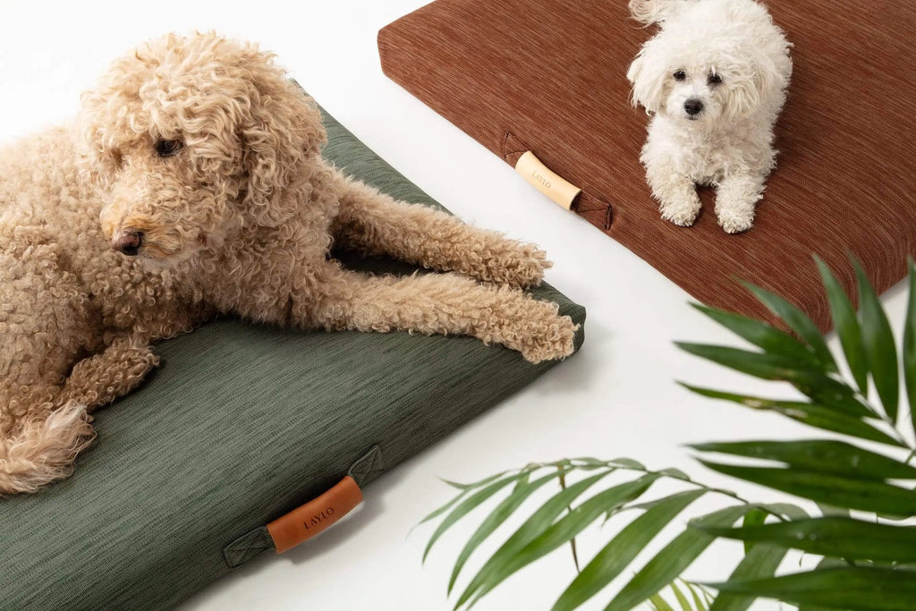 Modern Terra Dog Bed or Bed Cover - Sir Dogwood