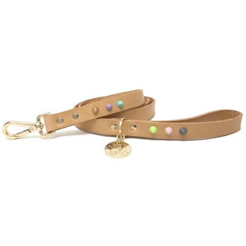 Smooth Spike Pastel Party Leash - Sir Dogwood
