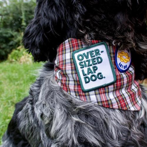 Oversized Lap Dog Merit Badge - Sir Dogwood