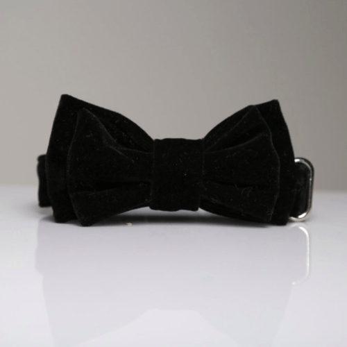 Bond Velvet Bow Tie - Sir Dogwood