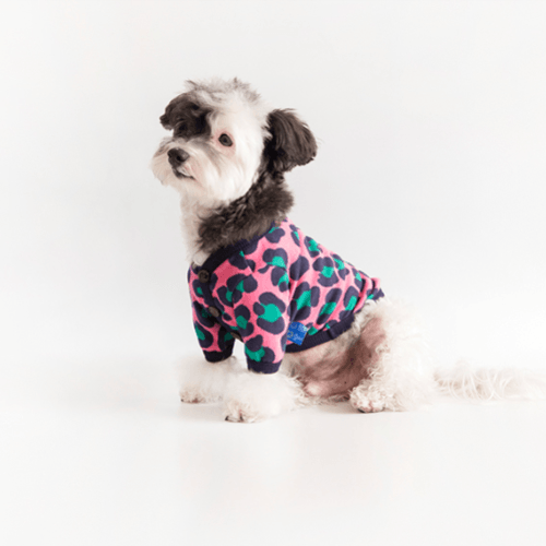 Leopard Cardigan Sweater Pink - Sir Dogwood