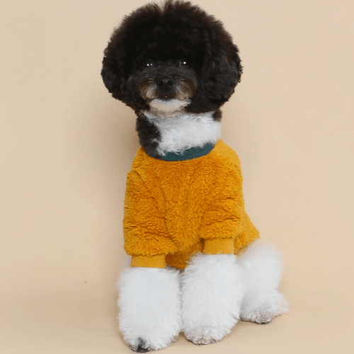 Teddy Fleece Sweater Yellow - Sir Dogwood