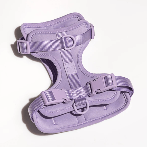 Cushioned Dog Harness Lilac - Sir Dogwood