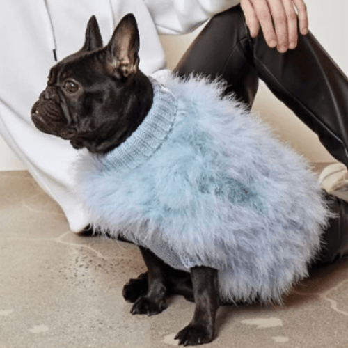 Sweaters | Sir Dogwood