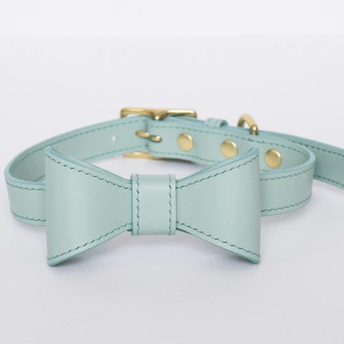 Bow Leather Collar Mint - Sir Dogwood