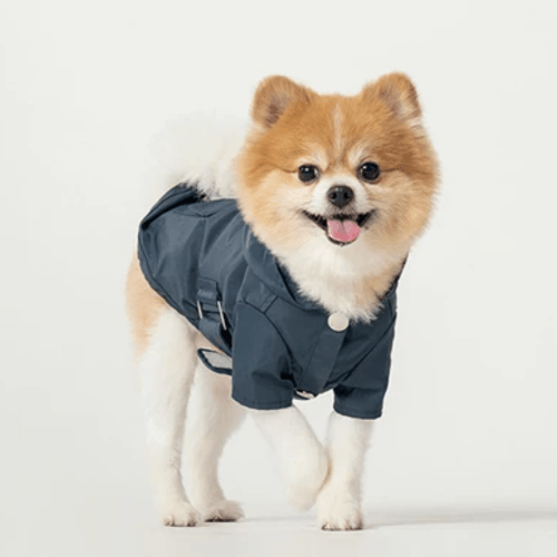 Hooded Raincoat Blue - Sir Dogwood