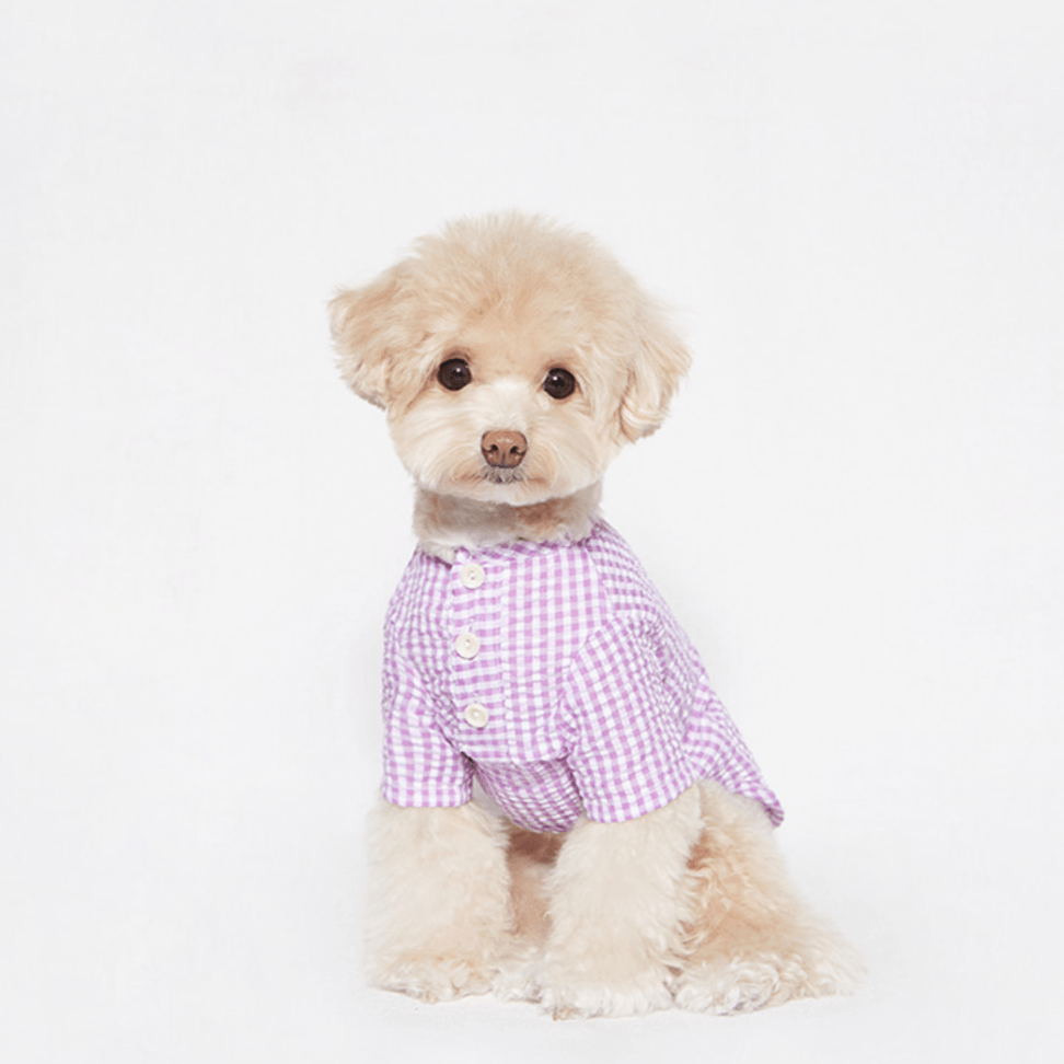 Witty Check Shirt Purple | Sir Dogwood