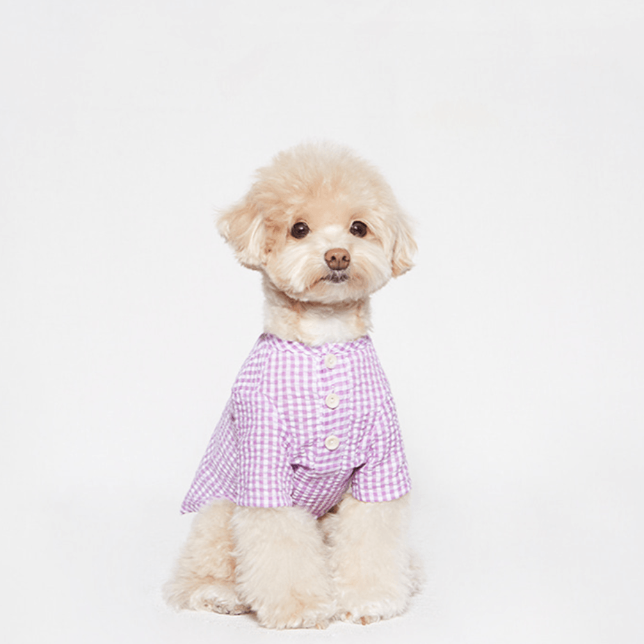 Witty Check Shirt Purple | Sir Dogwood