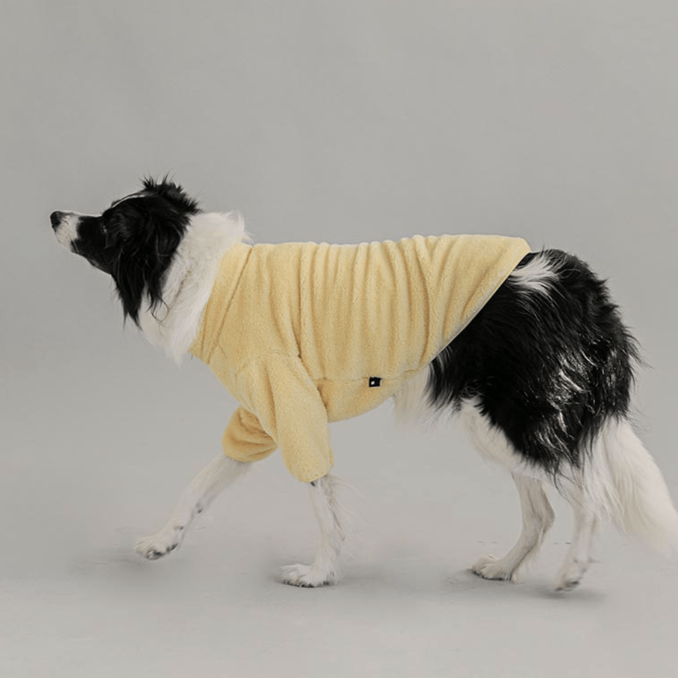 Large Fleece Zip-Up Jacket Yellow - Sir Dogwood