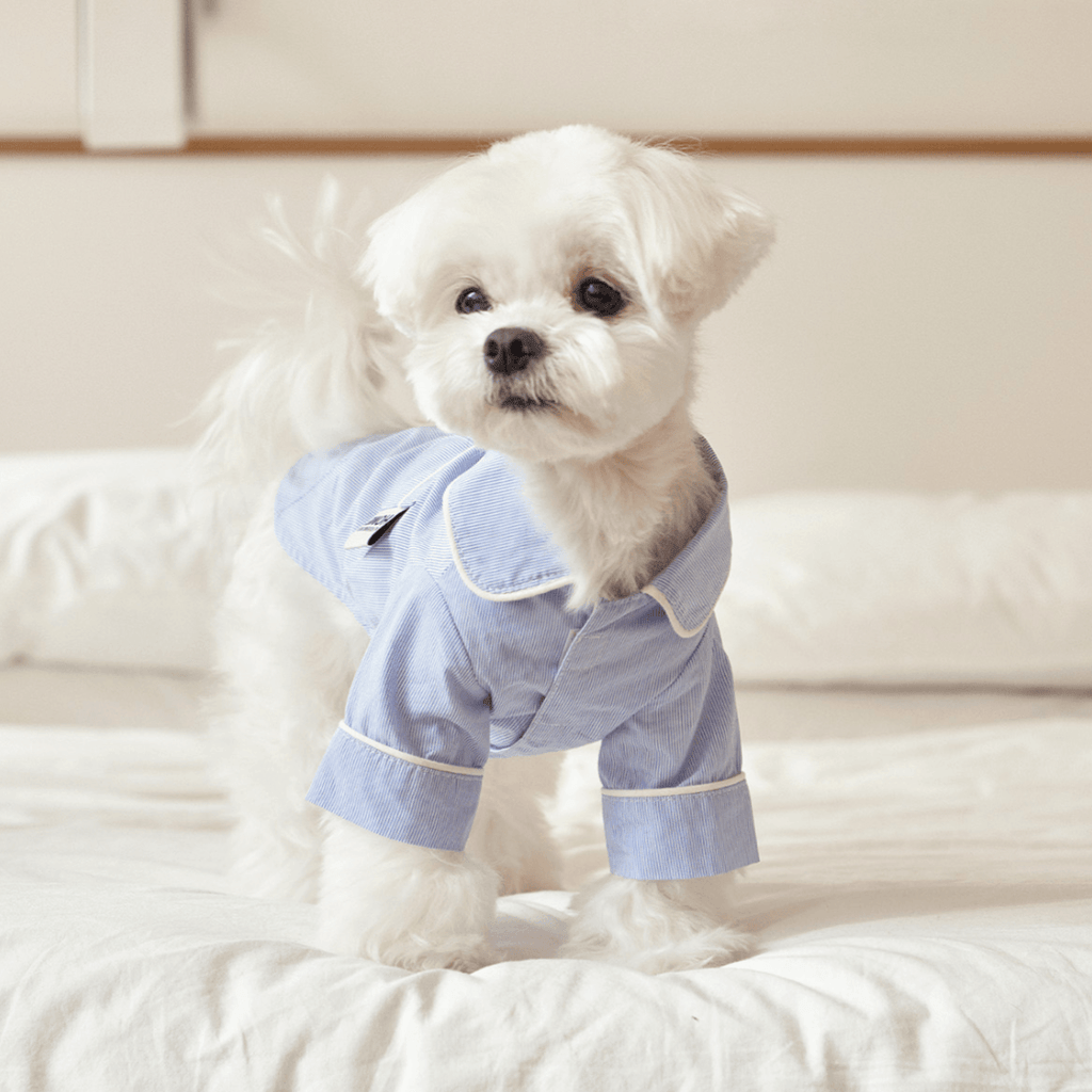 Cotton Sleepwear Top Light Blue - Sir Dogwood