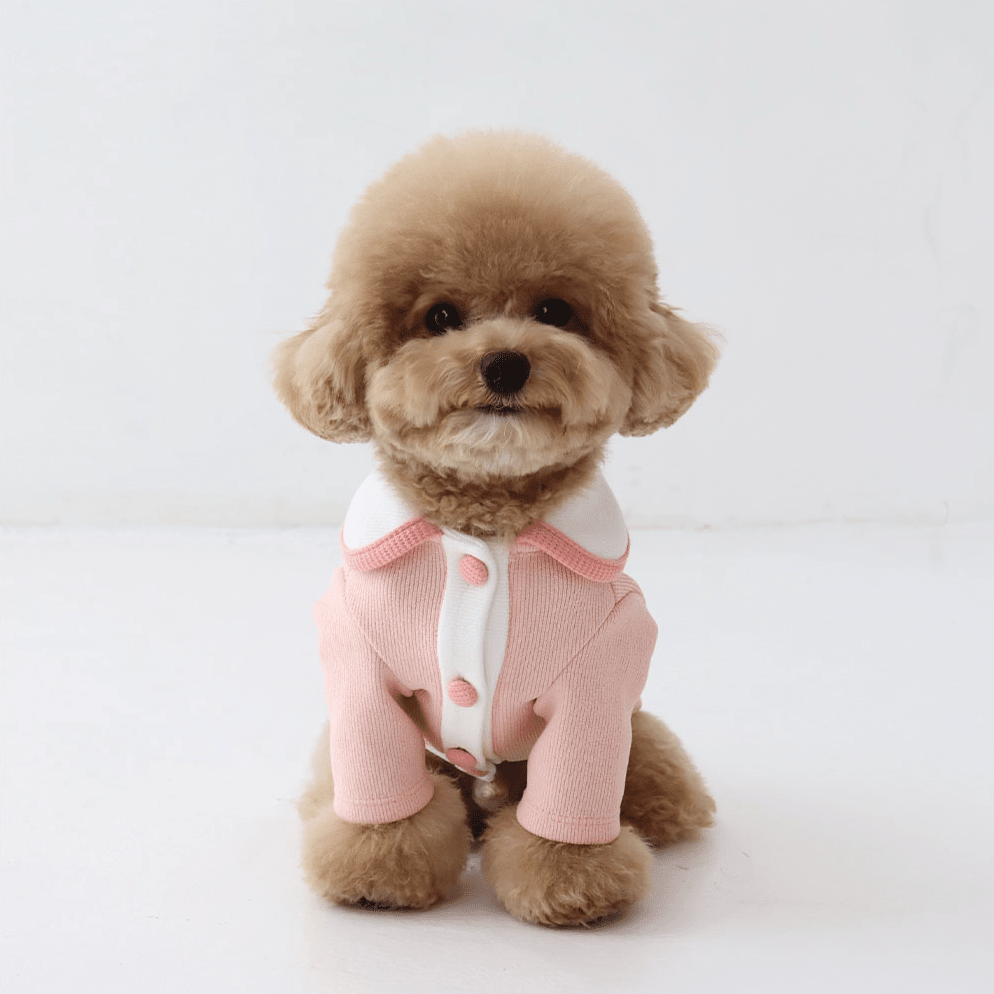 Blooming Collar Cardigan Coral Pink - Sir Dogwood