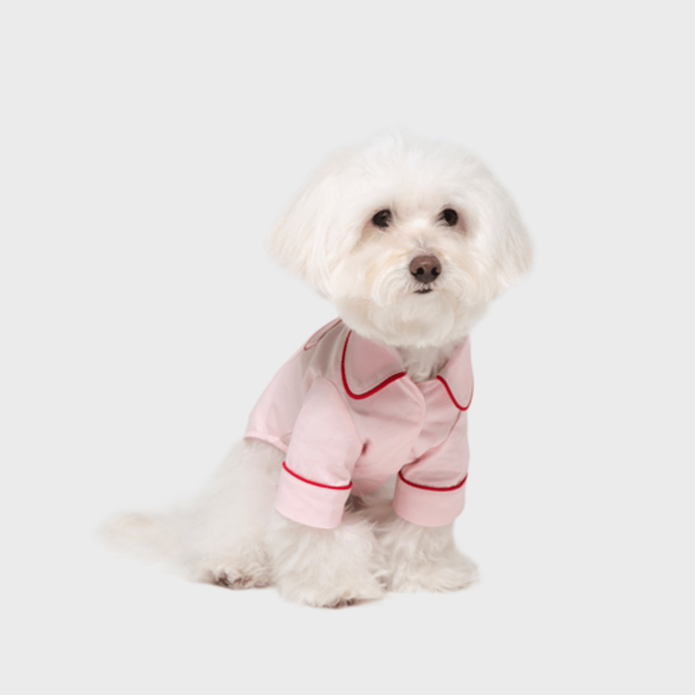 Cotton Sleepwear Top Pink - Sir Dogwood