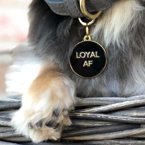 Loyal AF Collar Charm Black - Sir Dogwood