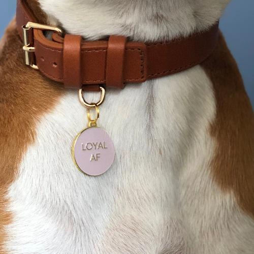 Loyal AF Collar Charm Pink - Sir Dogwood