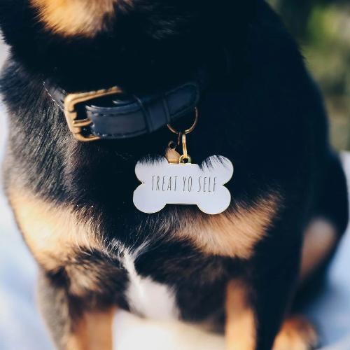 Treat Yo Self Collar Charm White - Sir Dogwood