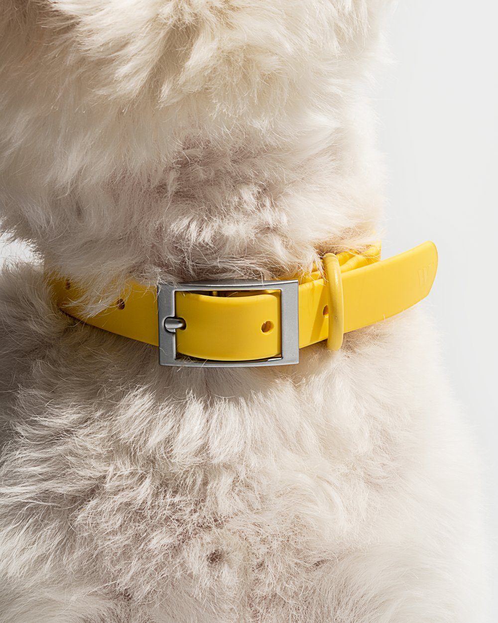 Modern Dog Collar Butter - Sir Dogwood