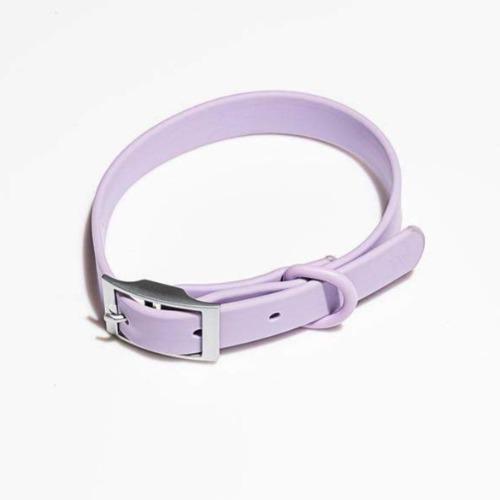 Modern Dog Collar Lilac - Sir Dogwood