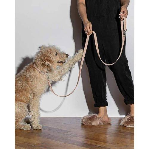 Durable Dog Leash Blush - Sir Dogwood