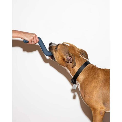 Bolt Bite Navy - Sir Dogwood