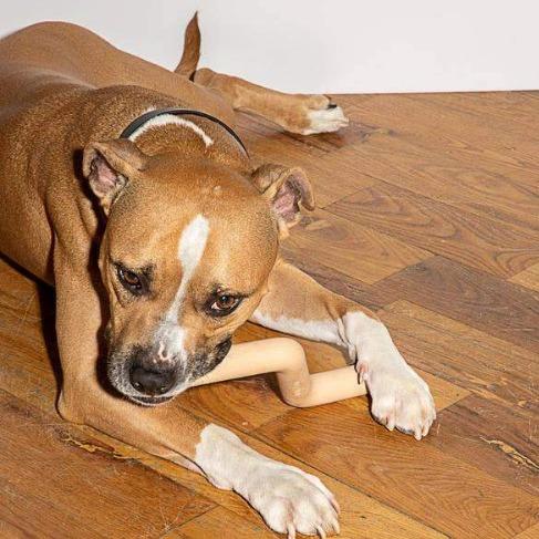 Bolt Bite Tan - Sir Dogwood