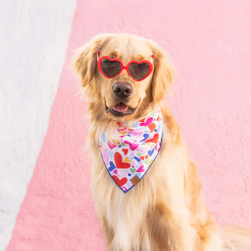 Heart To Heart Dog Bandana - Sir Dogwood